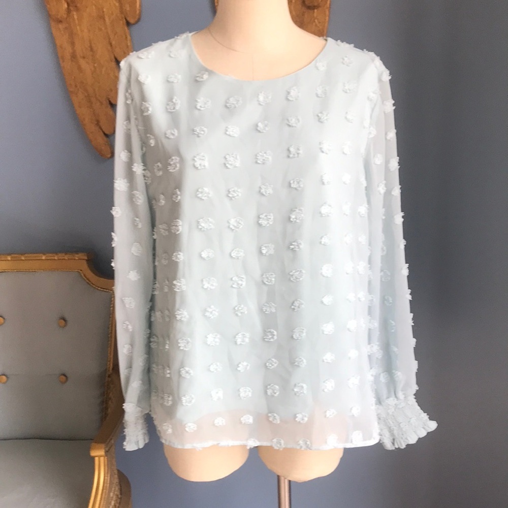 NWOT aqua blue sheer mesh lined Swiss dot long sleeves pull over top size L